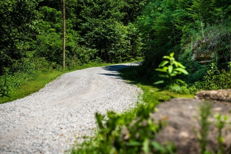 Build Your Dream Home on 12.4 Beautiful Wooded Acres - image 23