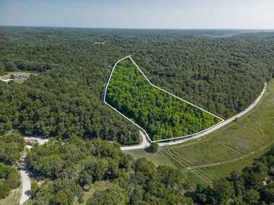 Build Your Dream Home on 12.4 Beautiful Wooded Acres - image 3
