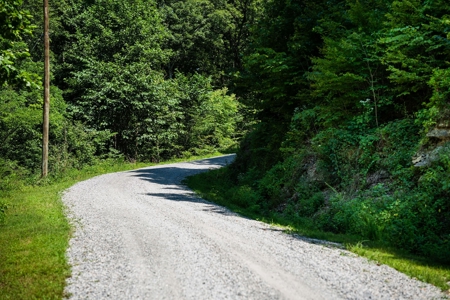 Build Your Dream Home on 12.4 Beautiful Wooded Acres - image 22