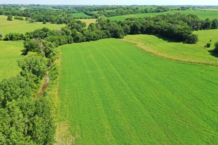 Iowa Land For Sale - Ringgold County Land For Sale - image 3