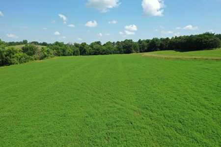 Iowa Land For Sale - Ringgold County Land For Sale - image 4