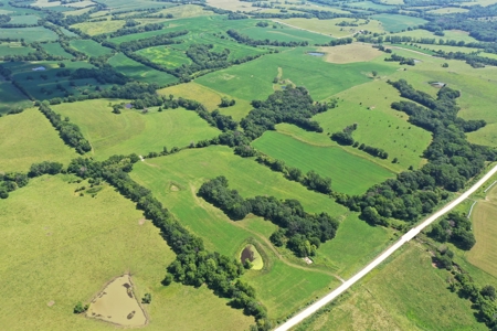 Iowa Land For Sale - Ringgold County Land For Sale - image 8