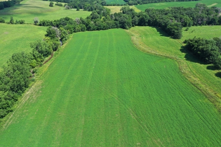 Iowa Land For Sale - Ringgold County Land For Sale - image 5
