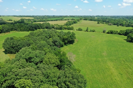 Iowa Land For Sale - Ringgold County Land For Sale - image 10