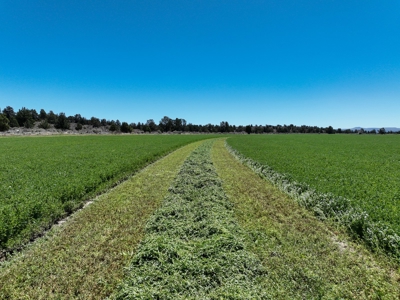 Eastern Oregon Waldron Farms - image 28