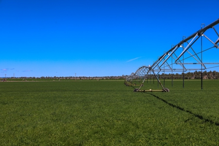 Eastern Oregon Waldron Farms - image 12