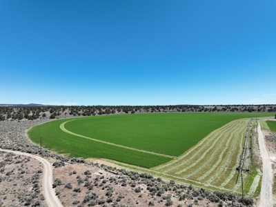 Eastern Oregon Waldron Farms - image 26