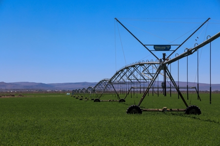 Eastern Oregon Waldron Farms - image 16