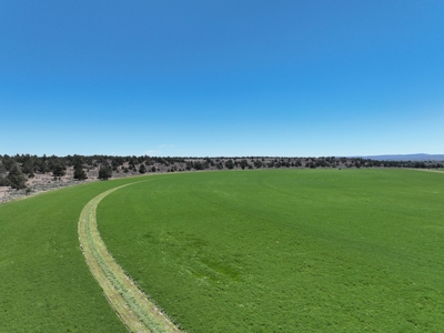 Eastern Oregon Waldron Farms - image 1