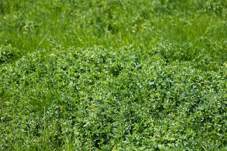 Eastern Oregon Waldron Farms - image 14