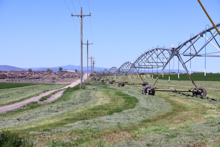 Eastern Oregon Waldron Farms - image 15