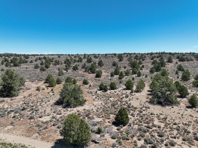 Eastern Oregon Waldron Farms - image 23