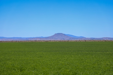 Eastern Oregon Waldron Farms - image 11