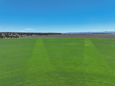 Eastern Oregon Waldron Farms - image 17