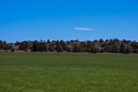 Eastern Oregon Waldron Farms - image 13