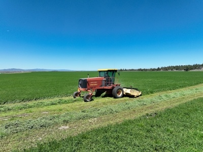 Eastern Oregon Waldron Farms - image 29