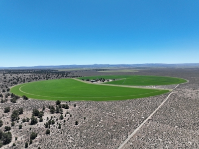 Eastern Oregon Waldron Farms - image 27