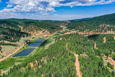 Beautiful Colorado Mountain Property with Amazing Views - image 4