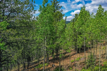 Beautiful Colorado Mountain Property with Amazing Views - image 15