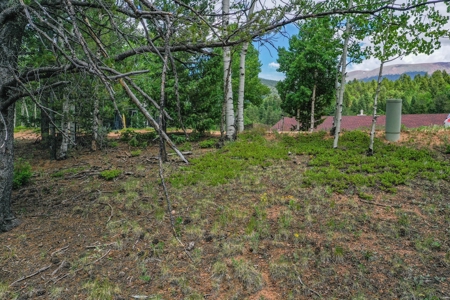Beautiful Colorado Mountain Property with Amazing Views - image 21