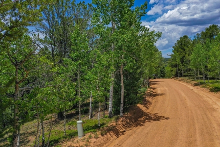 Beautiful Colorado Mountain Property with Amazing Views - image 13