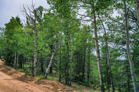 Beautiful Colorado Mountain Property with Amazing Views - image 29