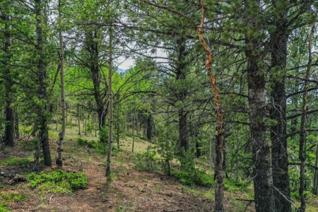 Beautiful Colorado Mountain Property with Amazing Views - image 26