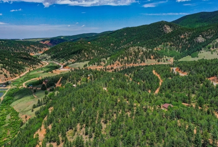 Beautiful Colorado Mountain Property with Amazing Views - image 5