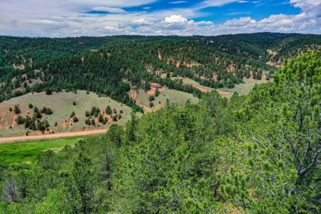 Beautiful Colorado Mountain Property with Amazing Views - image 25