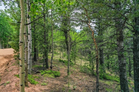 Beautiful Colorado Mountain Property with Amazing Views - image 27