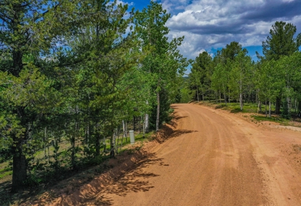 Beautiful Colorado Mountain Property with Amazing Views - image 12