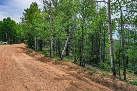 Beautiful Colorado Mountain Property with Amazing Views - image 28