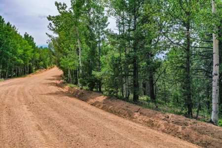 Beautiful Colorado Mountain Property with Amazing Views - image 1