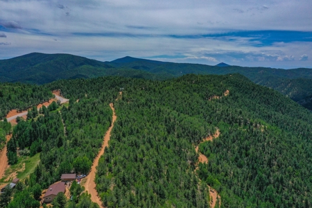 Beautiful Colorado Mountain Property with Amazing Views - image 8