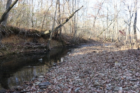 16 Acres with Turkey Creek Frontage in Mountain View, AR - image 16