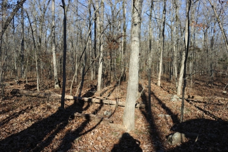 16 Acres with Turkey Creek Frontage in Mountain View, AR - image 4