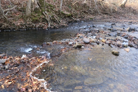 16 Acres with Turkey Creek Frontage in Mountain View, AR - image 13