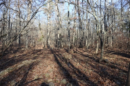 16 Acres with Turkey Creek Frontage in Mountain View, AR - image 19