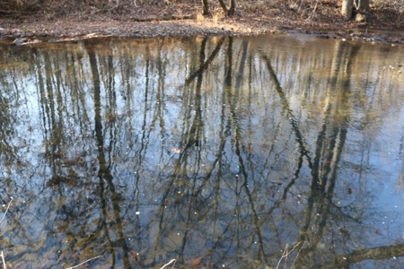 16 Acres with Turkey Creek Frontage in Mountain View, AR - image 9