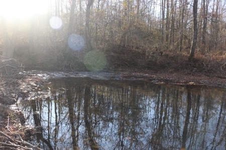 16 Acres with Turkey Creek Frontage in Mountain View, AR - image 8
