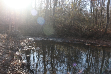 16 Acres with Turkey Creek Frontage in Mountain View, AR - image 10