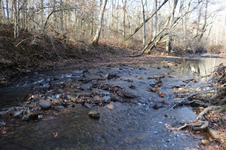 16 Acres with Turkey Creek Frontage in Mountain View, AR - image 12