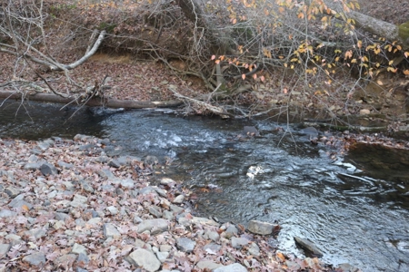 16 Acres with Turkey Creek Frontage in Mountain View, AR - image 15