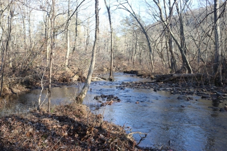 16 Acres with Turkey Creek Frontage in Mountain View, AR - image 18
