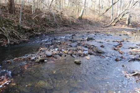16 Acres with Turkey Creek Frontage in Mountain View, AR - image 11