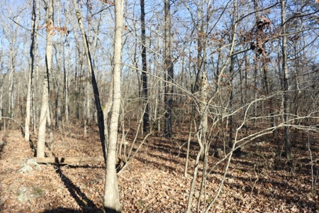 16 Acres with Turkey Creek Frontage in Mountain View, AR - image 5