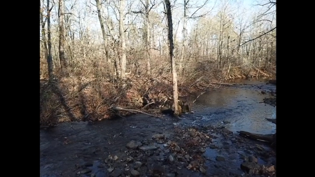 16 Acres with Turkey Creek Frontage in Mountain View, AR - image 2