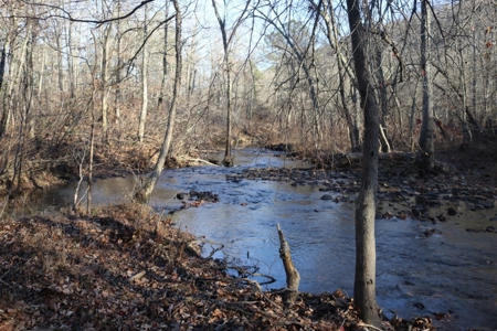 16 Acres with Turkey Creek Frontage in Mountain View, AR - image 17