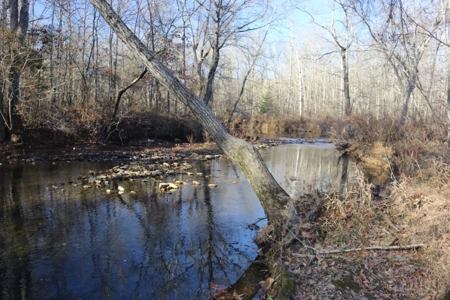 16 Acres with Turkey Creek Frontage in Mountain View, AR - image 7