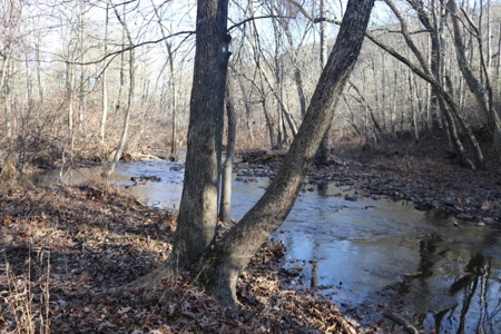 16 Acres with Turkey Creek Frontage in Mountain View, AR - image 1